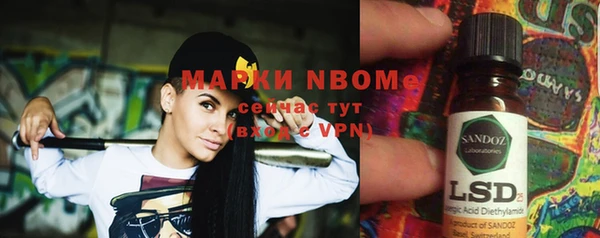 прущие грибы Аркадак