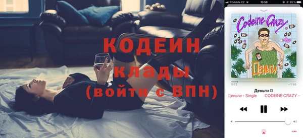 прущие грибы Аркадак
