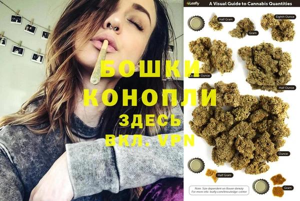 прущие грибы Аркадак