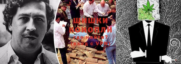 прущие грибы Аркадак