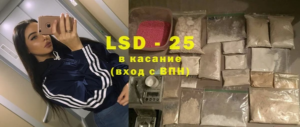 прущие грибы Аркадак