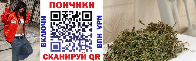 Бошки Шишки конопля  Динская 